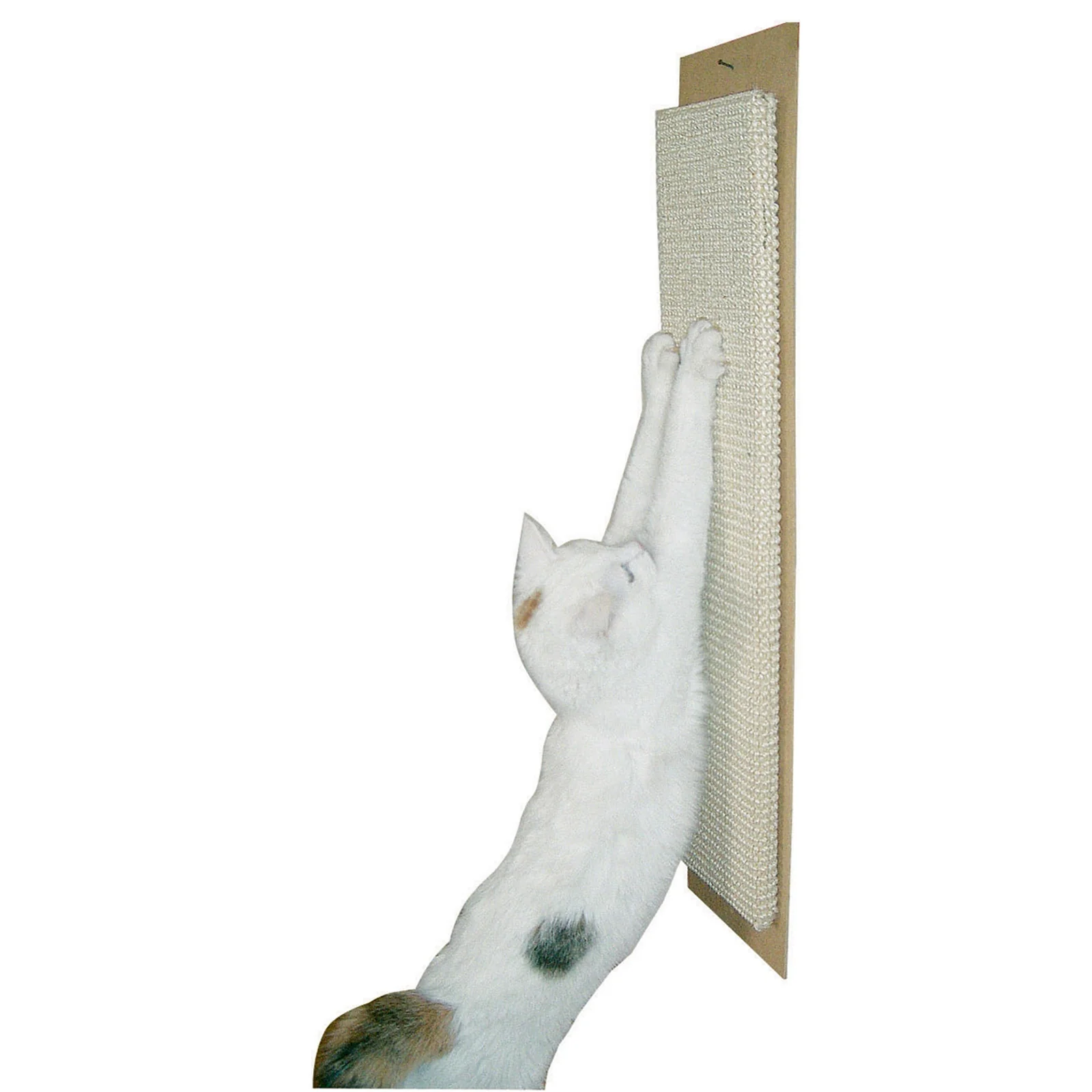 Vorschaubild 1